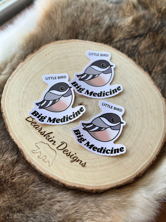 1pcs Sticker- Little Bird, Big Medicine